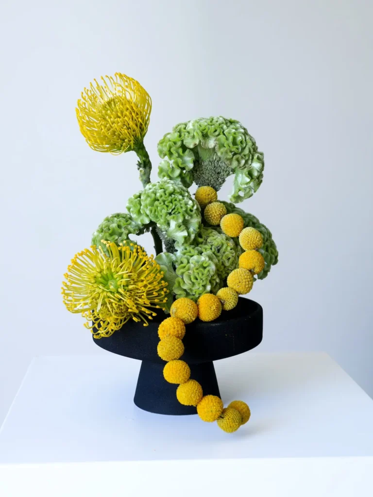 Sculptural arrangement with yellow pincushion protea, green coxcomb, and trailing craspedia in black vase