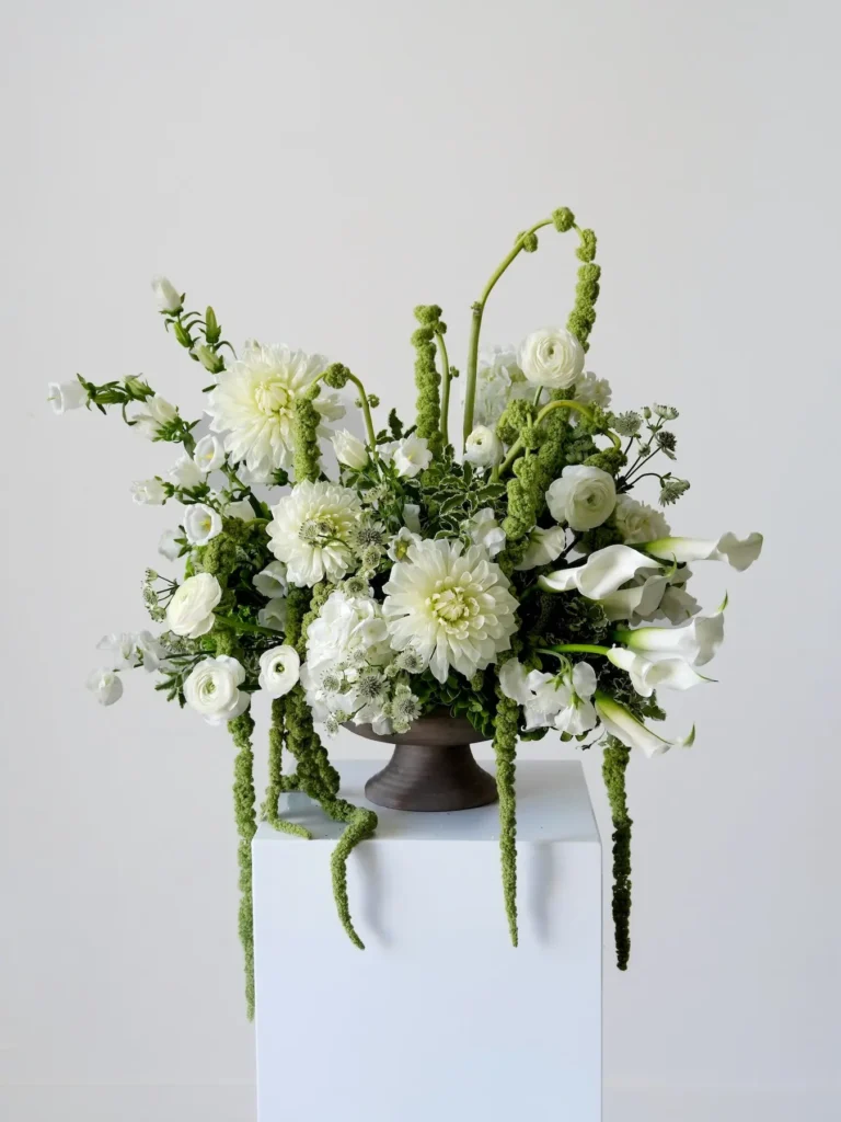 White dahlia and ranunculus arrangement with trailing green amaranthus in dark ceramic urn