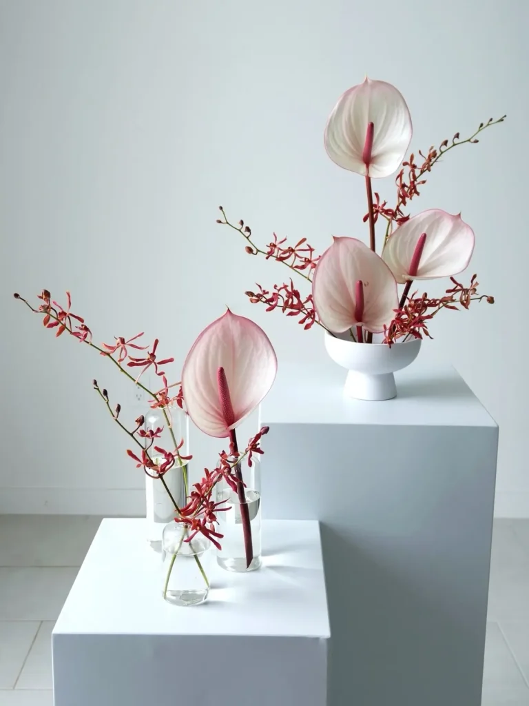 Pink anthurium and red orchid stems in small bud vases and white pedestal bowl